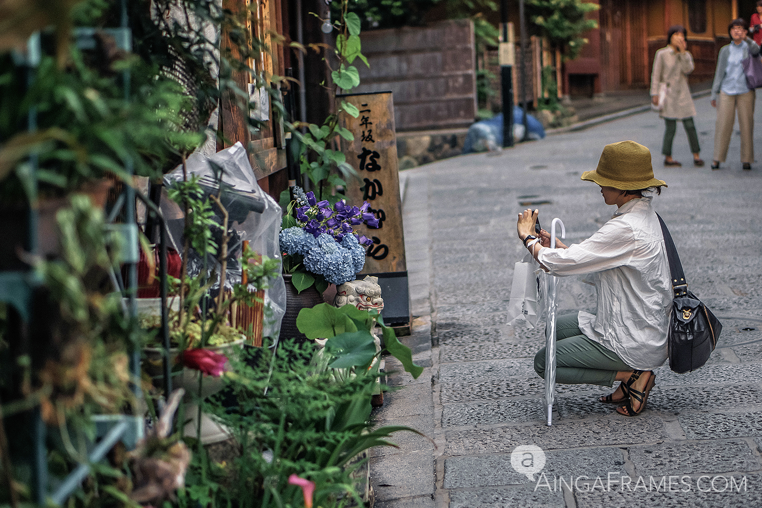 Higashiyama is a popular destination in Kyoto, it is one of the few places where the traditional streetscape of the Edo period is neatly preserved. The streets of Higashiyama are lined with lovely Japanese style houses, small teahouses, and charming boutiques.