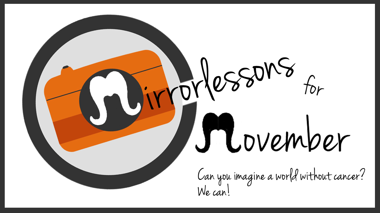 mirrorlessons for movember 2013
