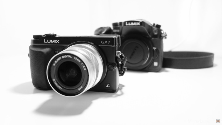 mirrorless camera complete list