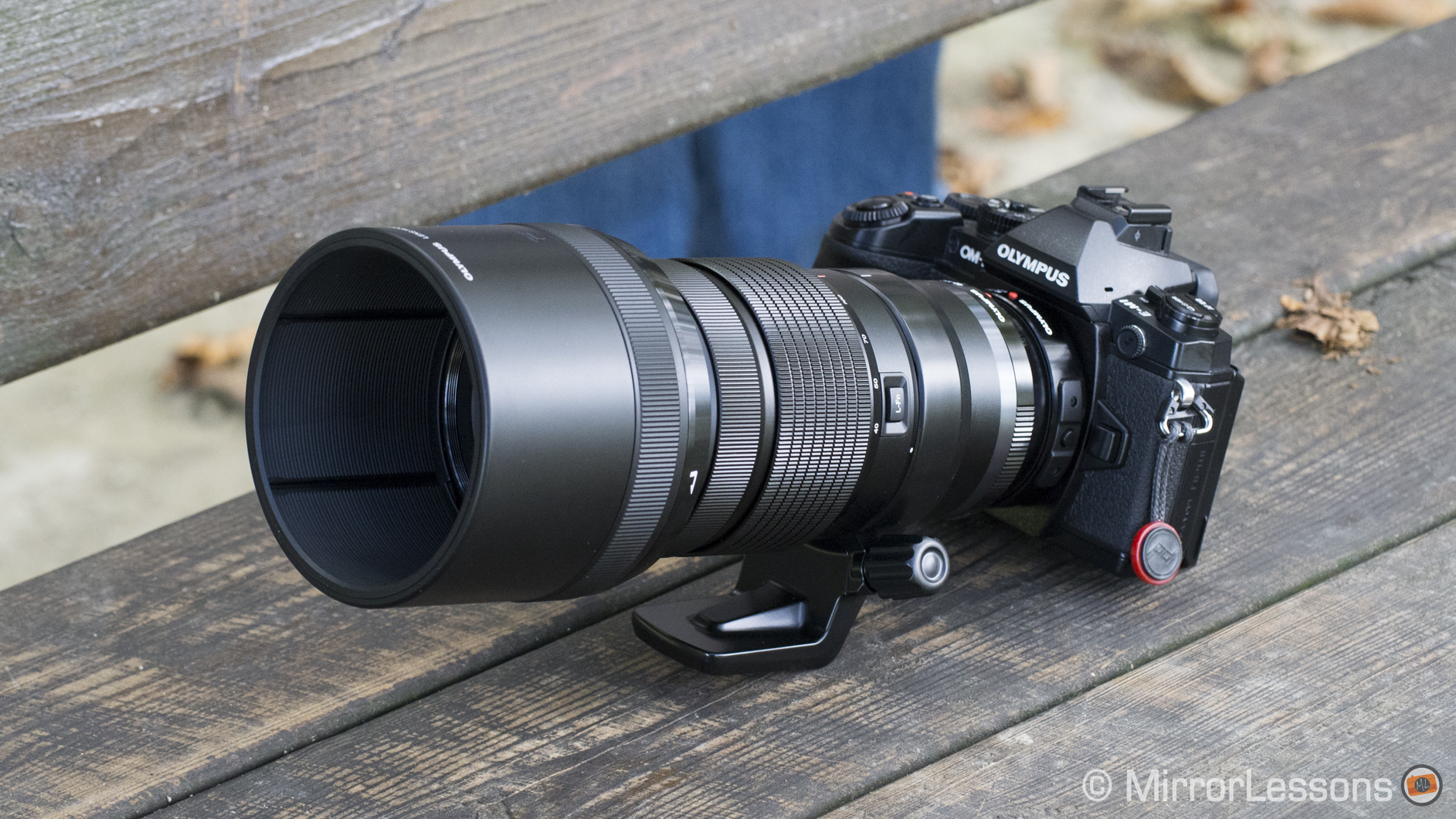 Olympus ED 40-150mm f/2.8 Pro and MC-14 Teleconverter – First