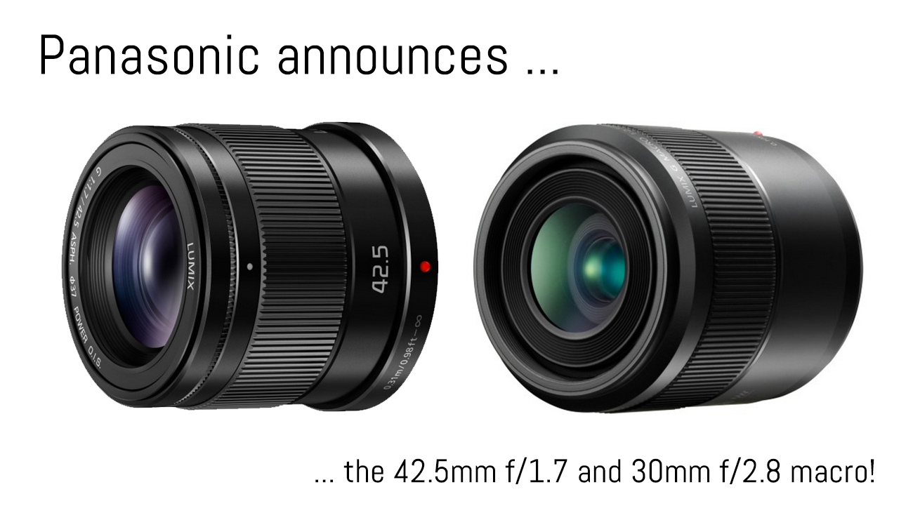 panasonic 42.5mm f/1.7 and 30mm f/2.8 macro