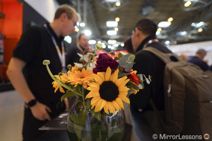 sony 24-240mm review