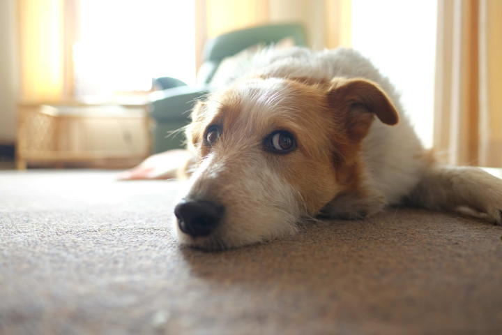 fujifilm xf 16mm f/1.4 sample images