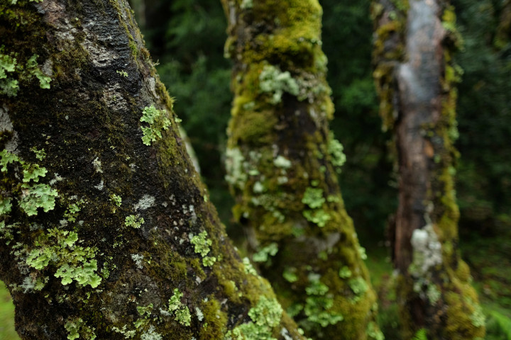 fujifilm xf 16mm f/1.4 sample images