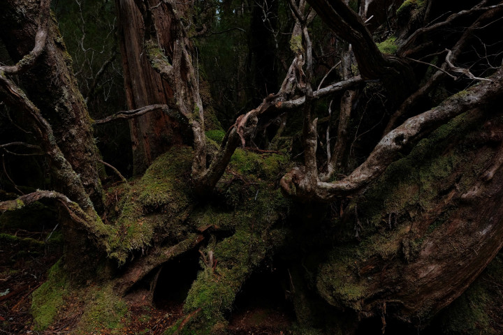 fujifilm xf 16mm f/1.4 sample images