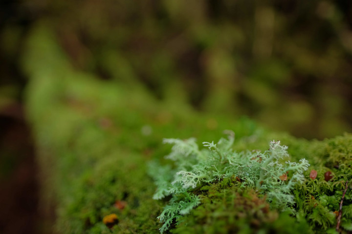 fujifilm xf 16mm f/1.4 sample images