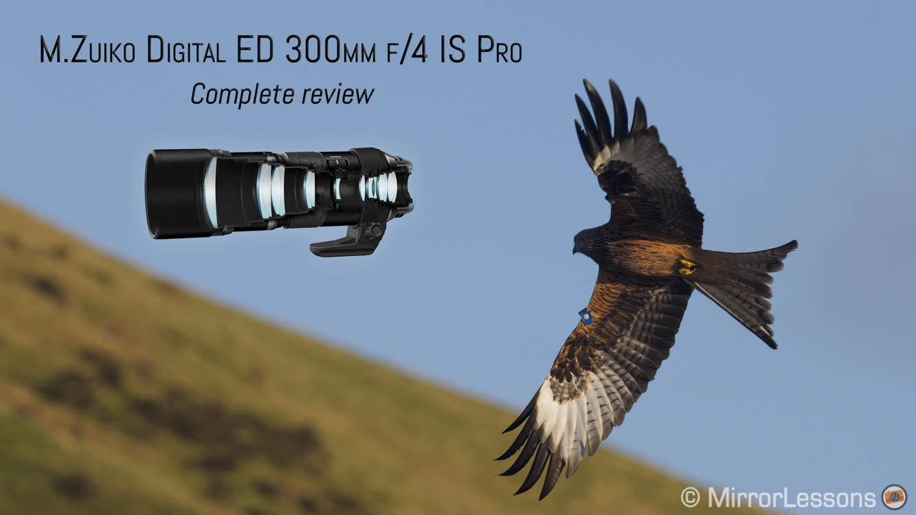 gebonden Afwezigheid Actief The first extreme telephoto prime – The Olympus 300mm f/4 IS Pro review