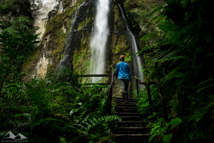 Captured at Reserva Natural Macizos de Peñas Blancas on 13 Feb, 2016 by Chris Eyre-Walker Photography.